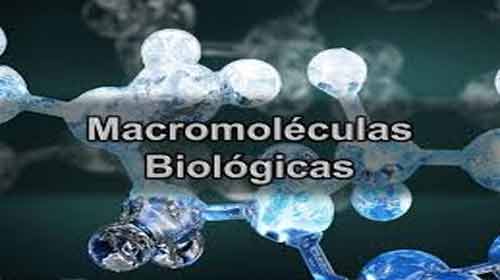 tipos de moléculas biologicas